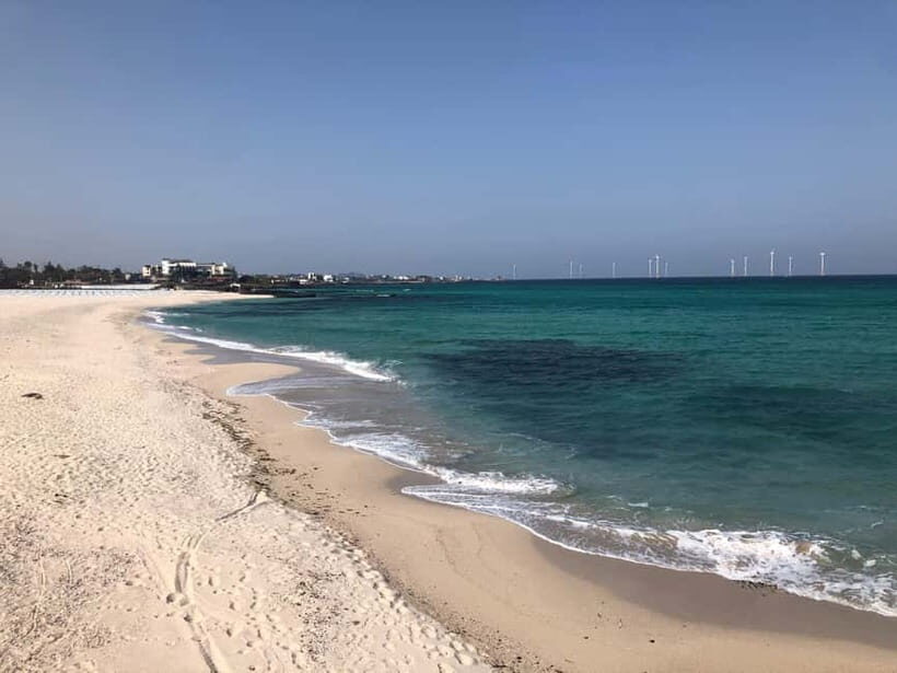 Jeju Island: Customized Private Full-Day Van Tour - How customization can change your whole day