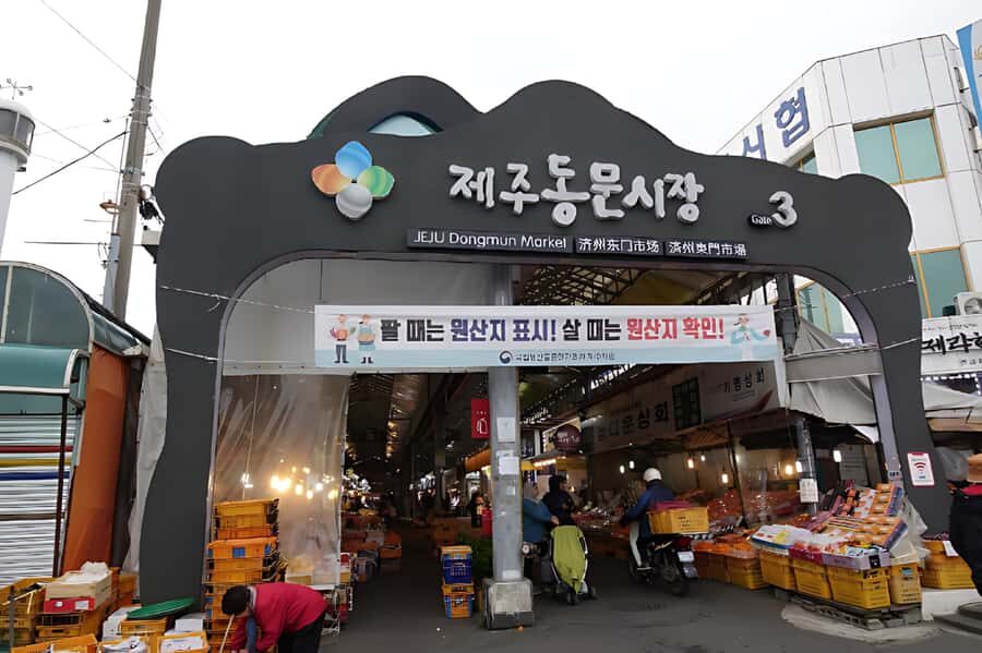 Jeju Island Day Tour for Cruise Ship Passengers - What Seongsan Ilchulbong Feels Like When You Have Real Time