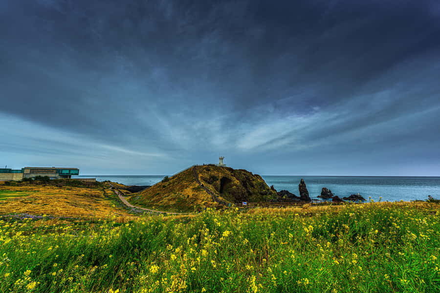 Jeju Island Day Tour for Cruise Ship Passengers - Jusangjeolli Cliffs and Cheonjiyeon Waterfall: Nature Stops That Balance Each Other