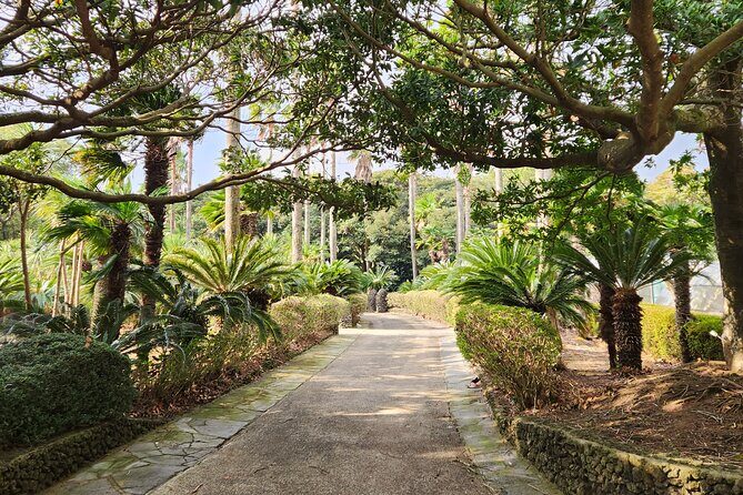 Jeju island Eastern UNESCO site Full Day Guided Tour - Seongsan Ilchulbong UNESCO: crater views with real time