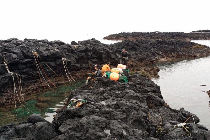 Jeju island Eastern UNESCO site Full Day Guided Tour - Ilchul Land and Micheon Cave: the underground lava-tube story