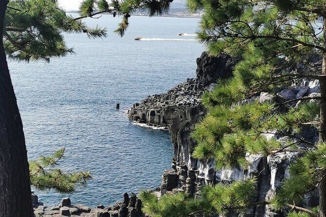 Jeju Island English Private & Flexible Tour any number anywhere - Timing on an 8-hour day: how to fit a lot without turning it into a sprint