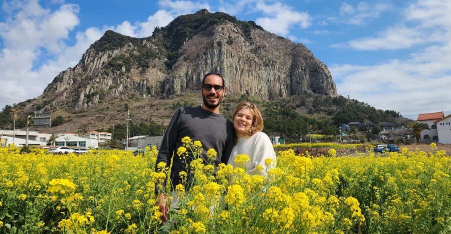 Jeju Island: Full-Day Customizable Private Guided Car Tour - How the pick-up works (and why the car details matter)