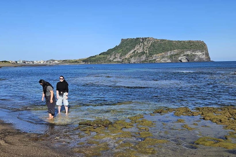 Jeju Island: Full-Day East Jeju Bus Tour with Entry Fees - Price and logistics: what $55 covers (and what you’ll still pay for)