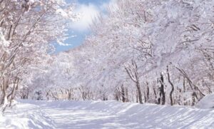 Jeju Island: Full-Day East Jeju Bus Tour with Entry Fees - Guides make or break the day: Elin, Zin, Zion, and Angella