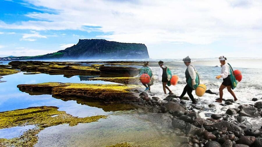 Jeju Island: Full-Day East Jeju Bus Tour with Entry Fees - Lunch and snacks: what you actually get on a long day