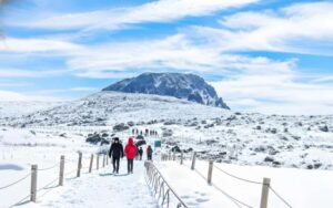 Jeju Island: Full-Day SouthWest Bus Tour with Entry Fees - 1100 Highland: The Hallasan Viewpoint That Starts the Day Right