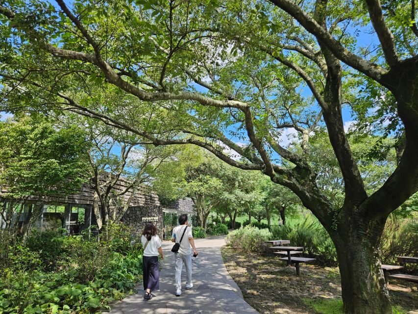 Jeju Island: Full-Day SouthWest Bus Tour with Entry Fees - O’sulloc Tea Fields and Museum: Calm After the Cliffs