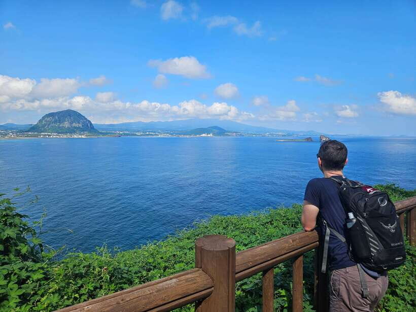 Jeju Island: Full-Day SouthWest Bus Tour with Entry Fees - Guide and Group Vibe: The Human Touch That Makes the Stops Click