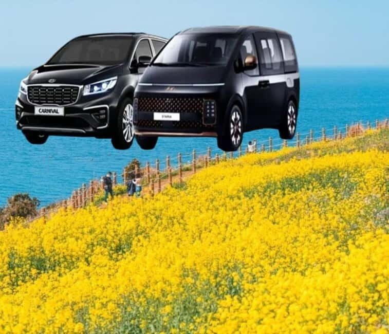 Jeju Island: Private Car Charter Tour - Key things you’ll appreciate