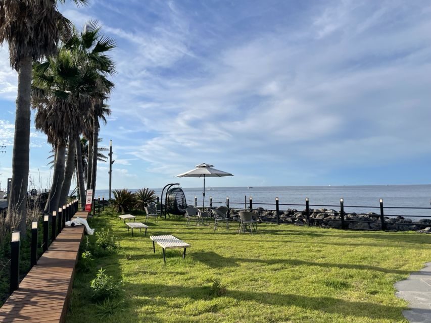 Jeju Island: Private Car Charter Tour - Should you book this private Jeju car charter?