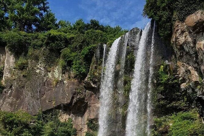 Jeju island private Day tour – west and south of Jeju island - What Makes This Private Tour Feel Worth It