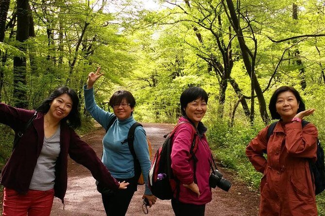 Jeju Island Private Half day Transport : South / West - Rainy-day and family options: PLAY KPOP, Alive Museum, Teddy Bears, Circus World