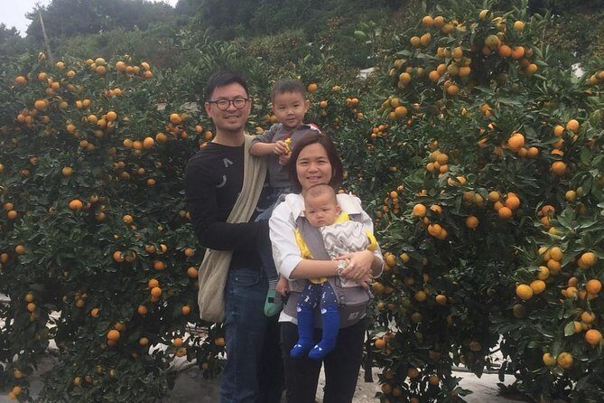 Jeju Island Private Taxi Tour : 2 Full days - The Driver and Language Factor (Lucas, Koh, David Kim, and more)