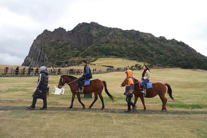 Jeju Island Private Taxi Tour : 2 Full days - Plan-B for UNESCO Closures, Monthly Stops, Tides, and Seasonal Swaps