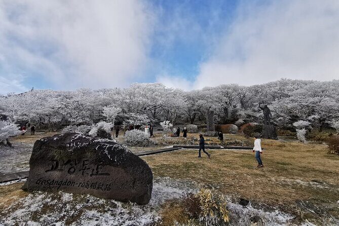 Jeju island Private Tour - UNESCO Day Tour & Haenyeo Performance - Seopjikoji and Hamdeok Beach: where you stretch your legs