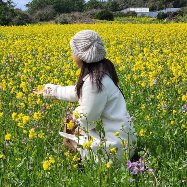 Jeju Island: Southern Top UNESCO Spots Tour - O’sulloc Green Tea Museum and fields: the day gets softer before the stone starts