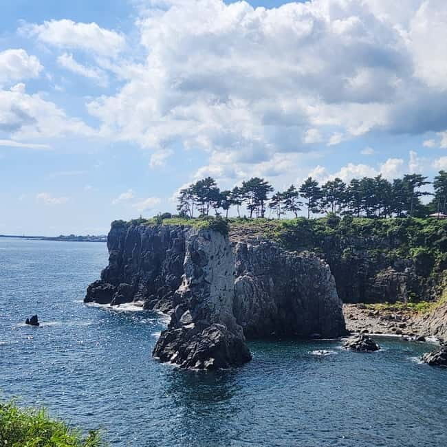 Jeju Island: Southern Top UNESCO Spots Tour - Finishing strong: Shilla Duty-Free or Dongmun Traditional Market
