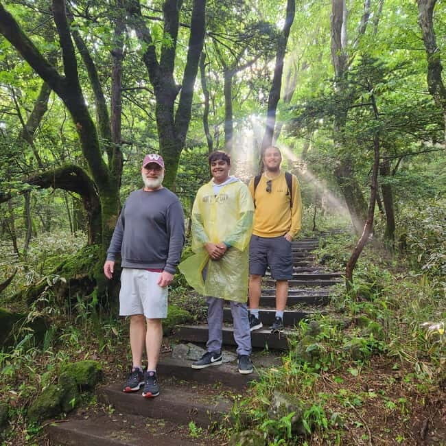 Jeju Island: Southern Top UNESCO Spots Tour - Price and value: why $51 can be a bargain on Jeju
