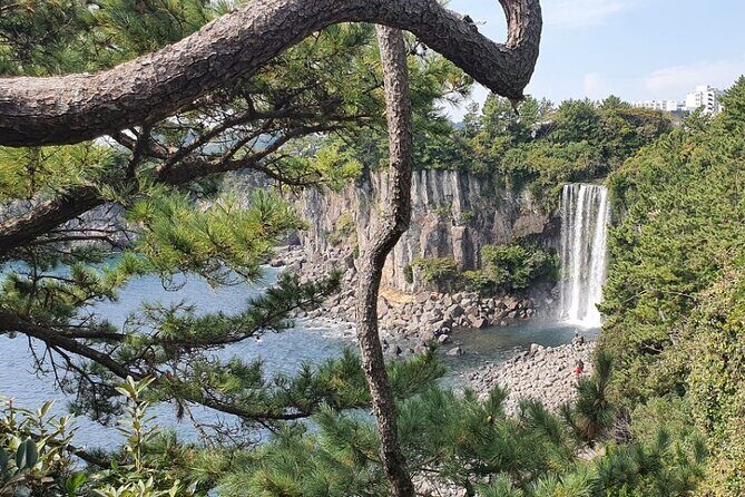 Jeju Island Taxi Join Tour - Beaches that feel like a breather: Woljeongri