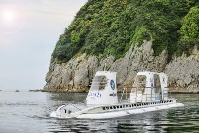 Jeju Island Taxi Join Tour - Bijarim Forest: world’s largest single-species forest