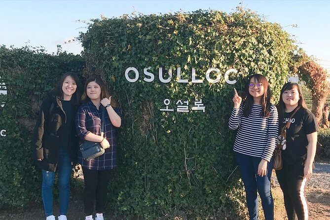 Jeju Island Taxi Tour : South Day Tour - O’sulloc Tea Museum: the calm, photo-friendly warm-up