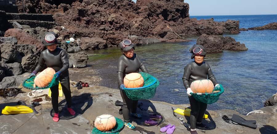 Jeju Premium Small Group UNESCO Day Tour - East - Key highlights at a glance