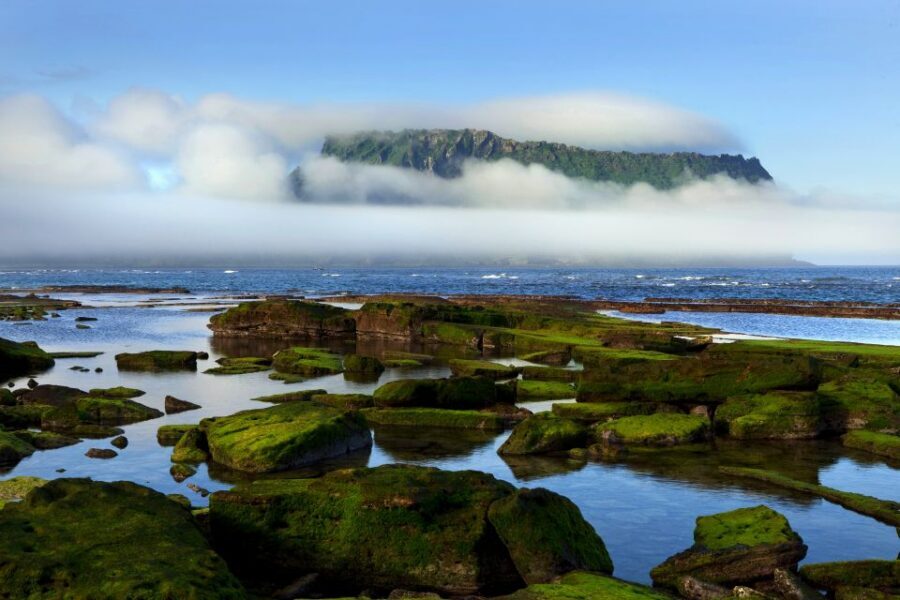 Jeju Premium Small Group UNESCO Day Tour - East - The guides: small touches that make the day smoother