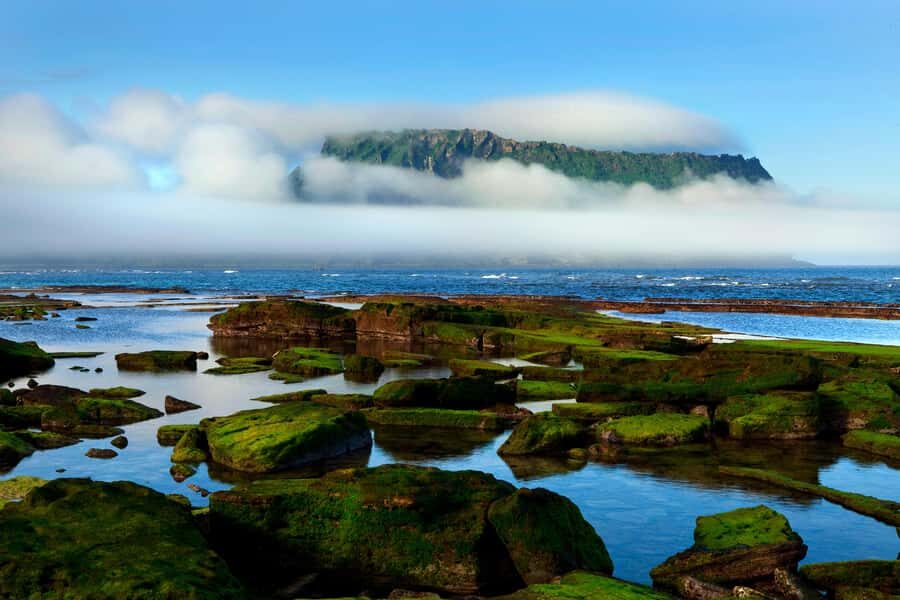 Jeju Premium Small Group UNESCO Day Tour - East - Morning at Woljeongri Beach: coffee with ocean color