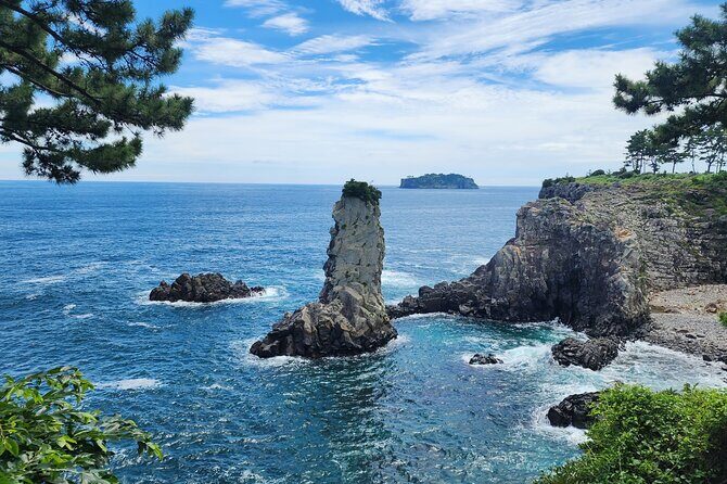 Jeju Premium Small Group UNESCO Day Tour - South Course - Jusangjeolli Cliff at Daepo Haean: basalt columns and coast drama in 20 minutes