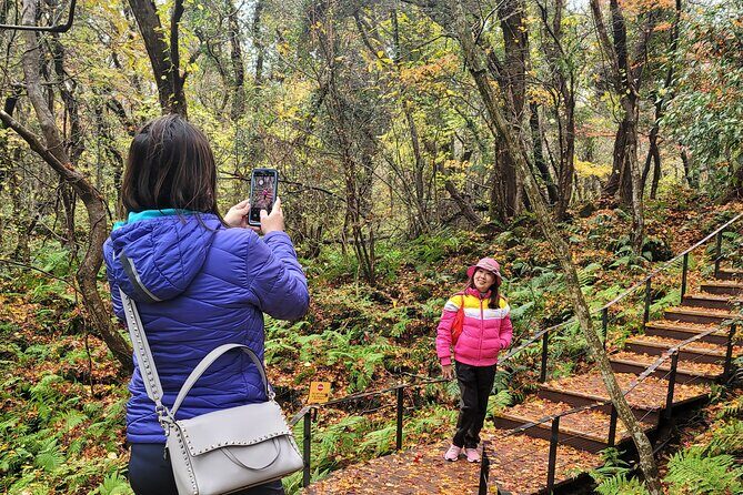 Jeju private UNESCO Site Day tour - East of Jeju Island - Jeju Stone Park: starting with the island’s rock story