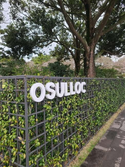 Jeju Southern: Mt.Hallasan and UNESCO Geopark Bus Tour - What you’ll notice from the guides (and why it matters)