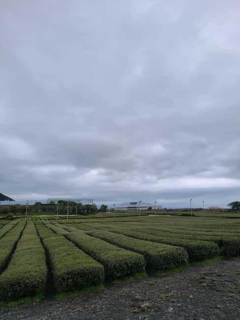 Jeju Southern: Mt.Hallasan and UNESCO Geopark Bus Tour - Ending at Dongmun Traditional Market: food and breathing space