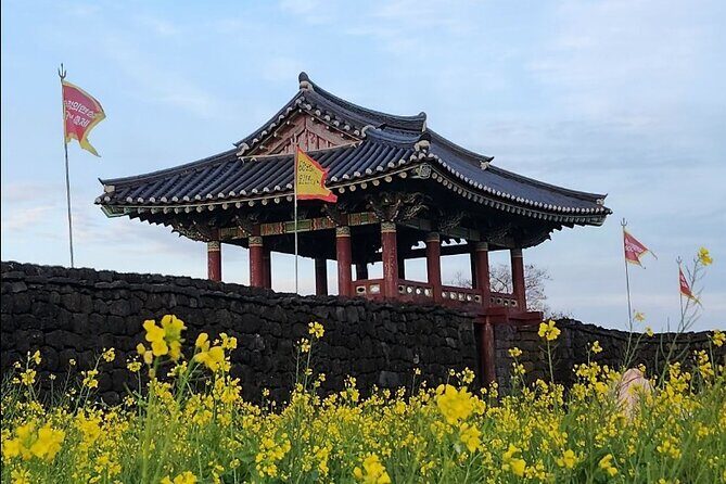 Jeju Taxi Tour KJ with Flexible scheduling - Day 1: Seongsan Ilchulbong, Hamdeok Beach, and the Gotjawal forest