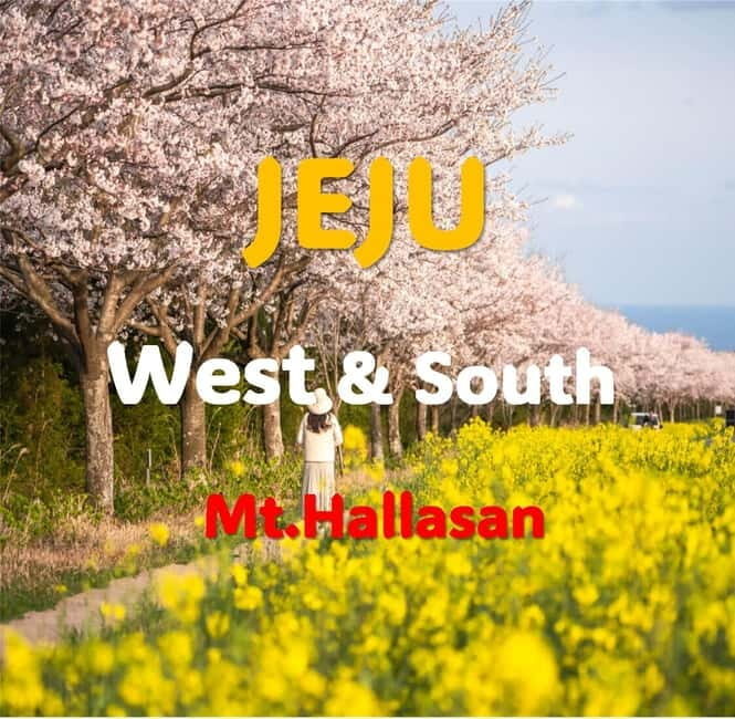 Jeju: Western and Southern Sightseeing Day Tour - Walking, steps, and pacing: plan like you’re visiting with shoes, not style