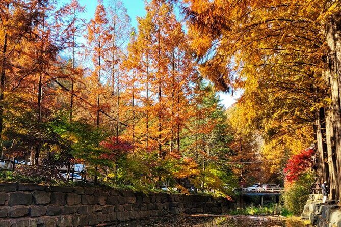 Jeonju Hanok Village Full-Day Tour: Jangtaesan Autumn Foliage - Key things that make this day trip tick