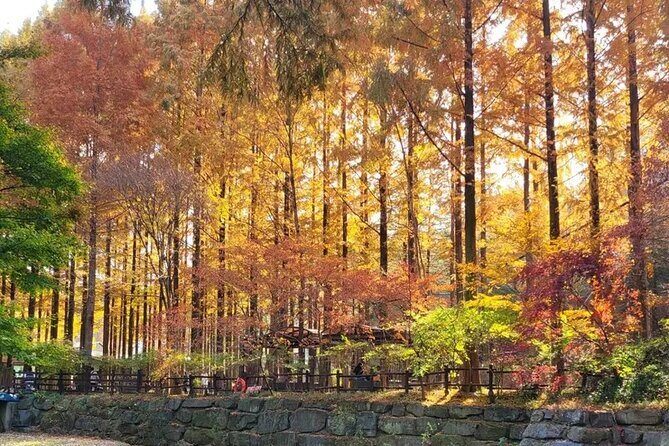 Jeonju Hanok Village Full-Day Tour: Jangtaesan Autumn Foliage - The Seoul-to-Jeonju timing: early pickups, long ride, and one clean day flow