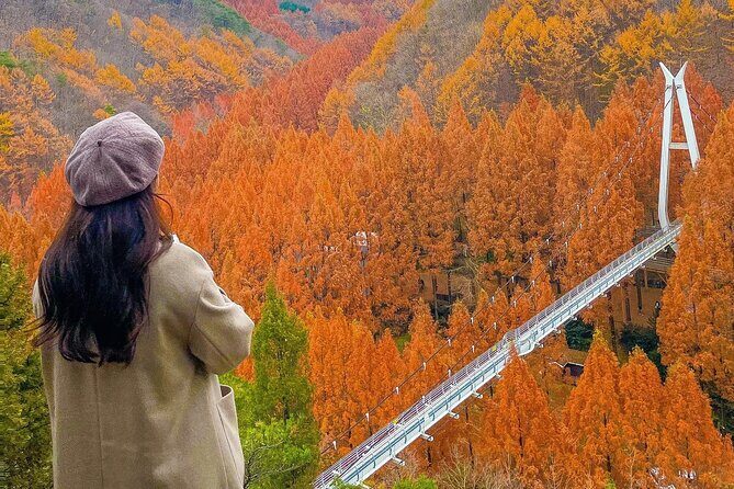 Jeonju Hanok Village Full-Day Tour: Jangtaesan Autumn Foliage - Jeonju eats: plan lunch because it’s on you