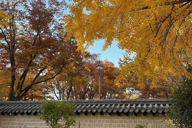 Jeonju Hanok Village Full-Day Tour: Jangtaesan Autumn Foliage - Weather reality: this trip depends on it