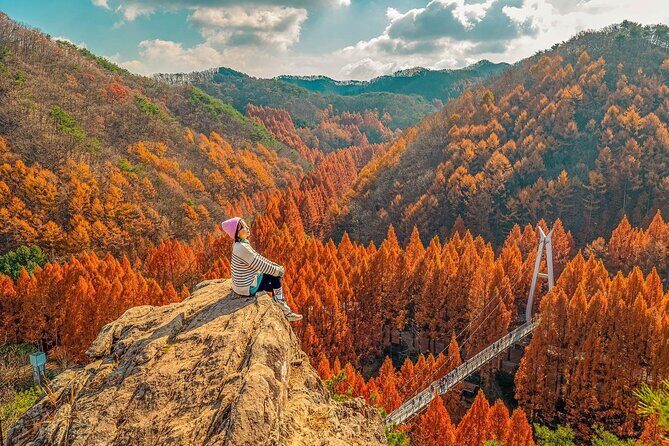 Jeonju Hanok Village Full-Day Tour: Jangtaesan Autumn Foliage - Who this tour fits best (and who should skip it)