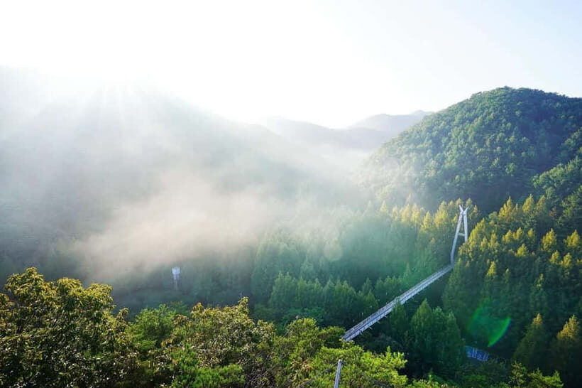 Jeonju Hanok Village Full-Day Tour:Jangtaesan Autumn Foliage - Key things you’ll notice fast