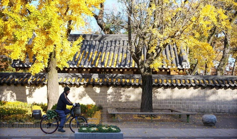 Jeonju Hanok Village Full-Day Tour:Jangtaesan Autumn Foliage - Should you book this Jeonju and Jangtaesan tour?