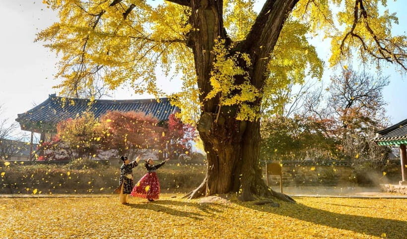 Jeonju Hanok Village Full-Day Tour:Jangtaesan Autumn Foliage - Price and value for about $74: what’s included vs. what you’ll pay later