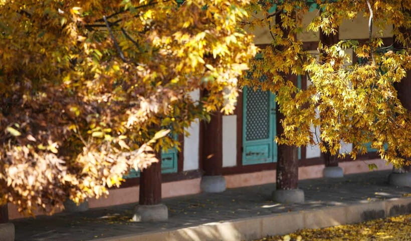 Jeonju Hanok Village Full-Day Tour:Jangtaesan Autumn Foliage - When the weather changes the plan: how to stay flexible