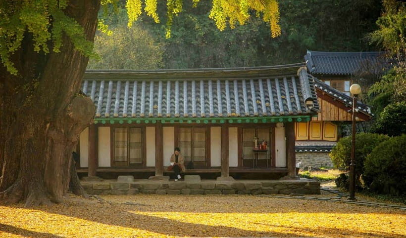 Jeonju Hanok Village Full-Day Tour:Jangtaesan Autumn Foliage - What to pack (and how to pace yourself) so the day feels easy