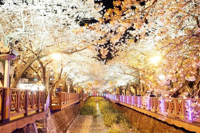 Jinhae Cherry Blossom Day trip from Busan - A Spring Adventure! - Yeojwacheon Stream: Cherry Blossoms, a Stream Walk, and Romance Bridge