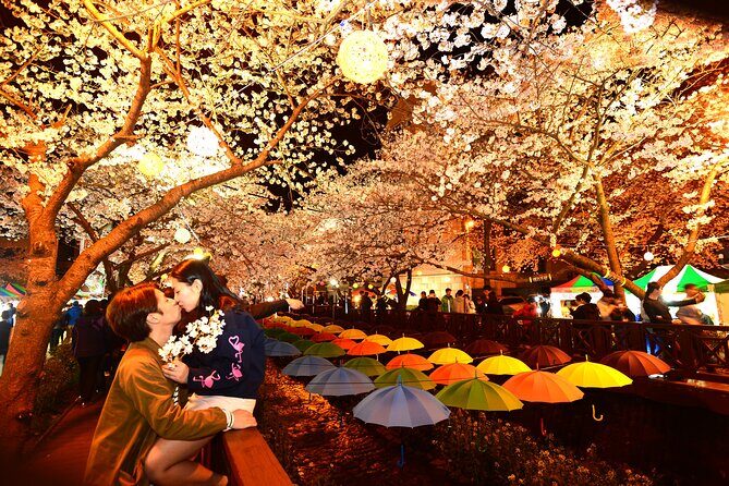 Jinhae Cherry Blossom Day trip from Busan - A Spring Adventure! - Lunch Time: How to Use the Free Time Well