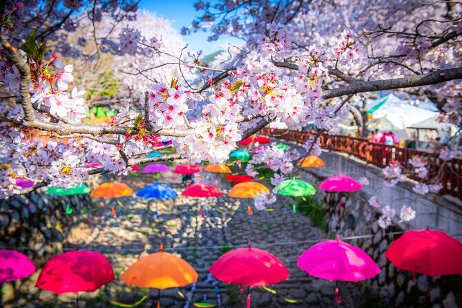 Jinhae Cherry Blossom Festival Gyeonghwa Stn Day Tour from Busan - Why this Busan-to-Jinhae day trip feels manageable