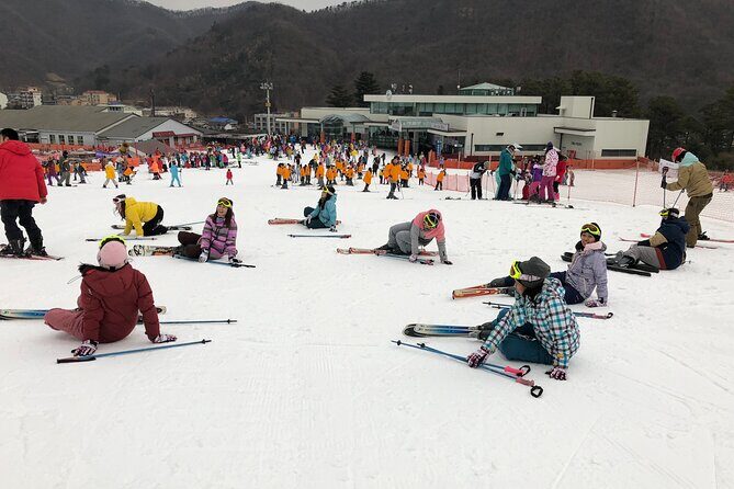 Jisan Ski One Day Tour - Choosing your snow option at Jisan: ski lesson, lift pass, or freetime