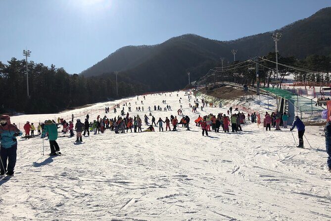 Jisan Ski One Day Tour - Jisan Forest Ski Resort: more than just one slope